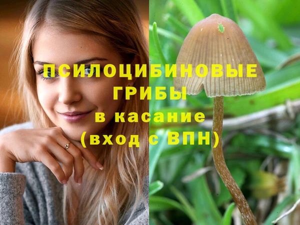 стафф Горняк