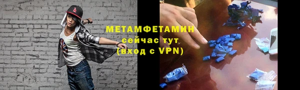 сатива Вяземский