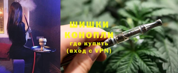 сатива Вяземский
