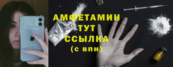 сатива Вяземский