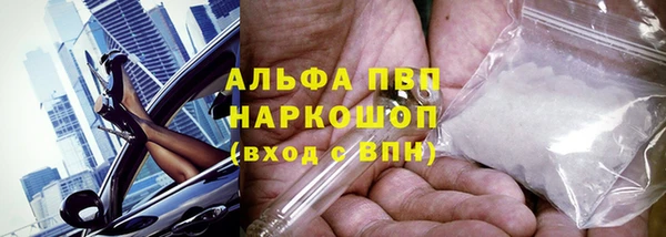сатива Вяземский
