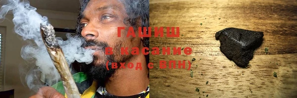 сатива Вяземский