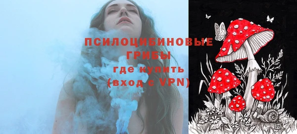 гидра Горно-Алтайск