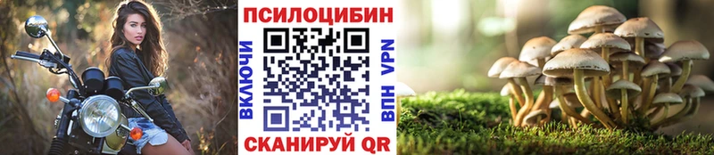 кракен ТОР  Меленки  Псилоцибиновые грибы Cubensis 